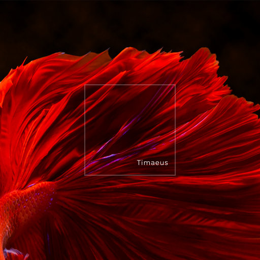 欧美猛男大鸡巴性爱
